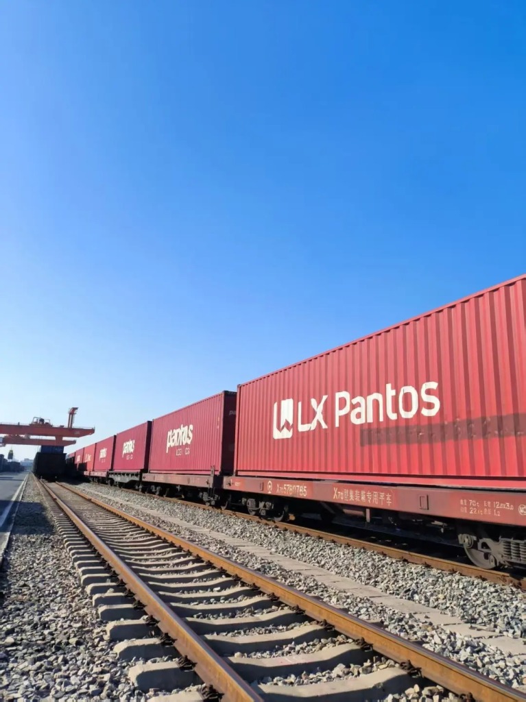 wps图片20260121101020