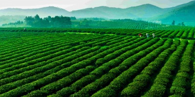 nanjing national agricultural high tech industry demonstration zone